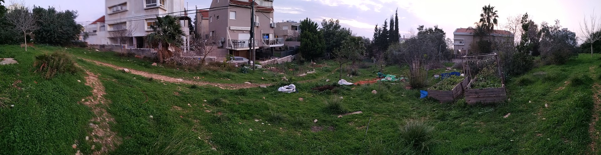 Ramat-Begin-Haifa- Panorama of site 1 Ramat-Begin-Haifa- Panorama of site 1